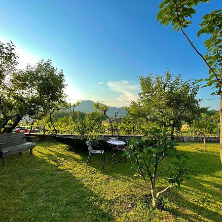 Country House Djurisic Virpazar Exterior photo