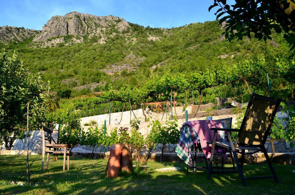 Country House Djurisic Virpazar Exterior photo